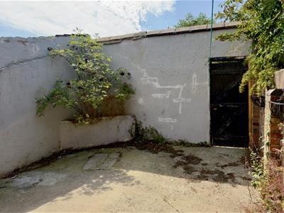 Picture 15